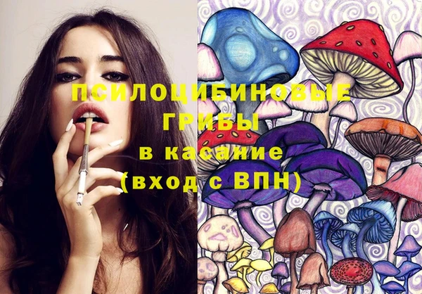 гидра Белоозёрский