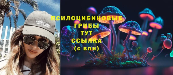 СК Белокуриха