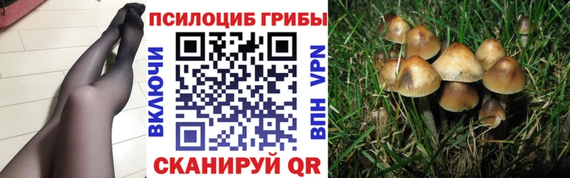 Псилоцибиновые грибы прущие грибы  Бирюсинск 